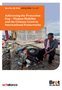 Addressing the Protection Gap Addressing the Protection Gap